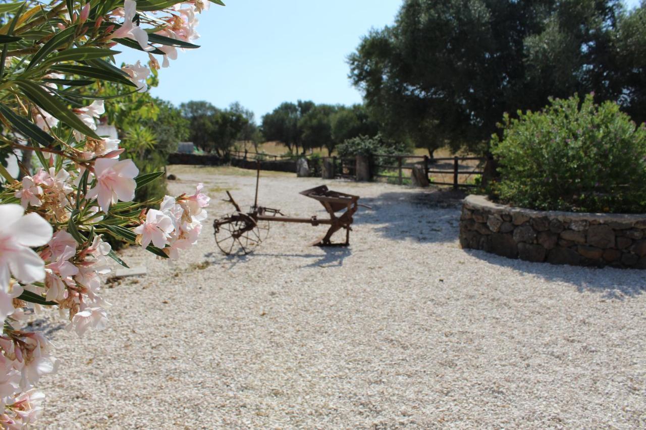 Agriturismo Pira Pinta Bed & Breakfast Dorgali Exterior photo