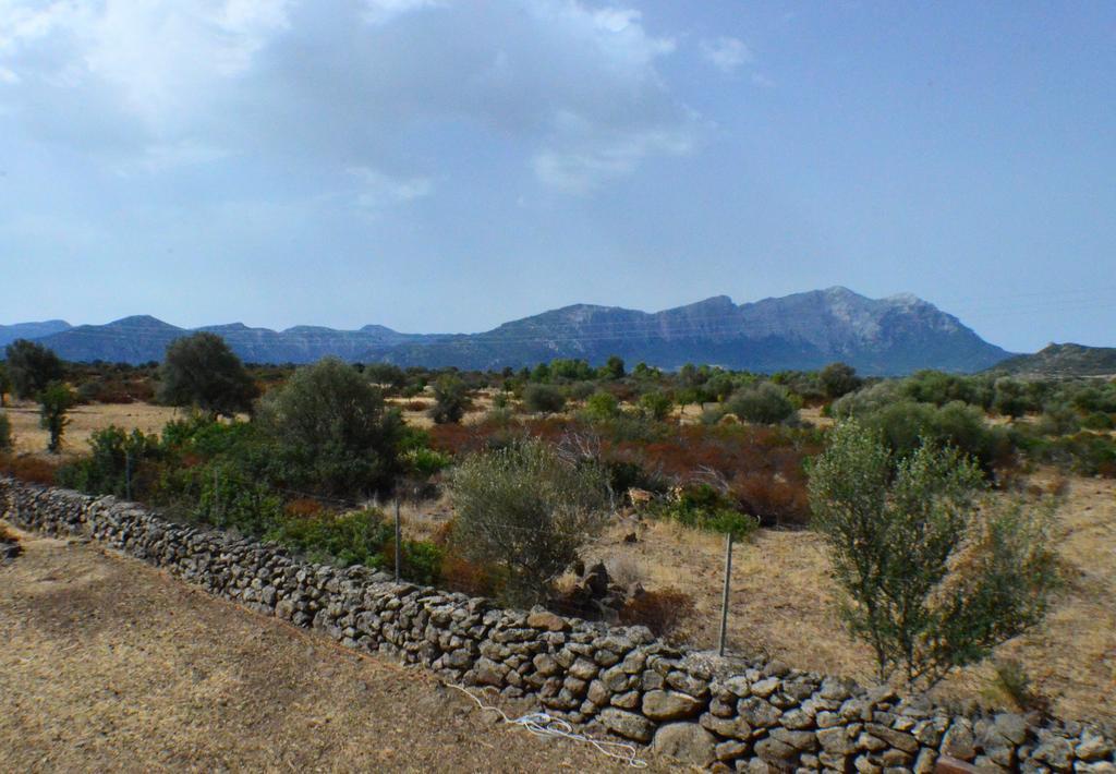 Agriturismo Pira Pinta Bed & Breakfast Dorgali Exterior photo